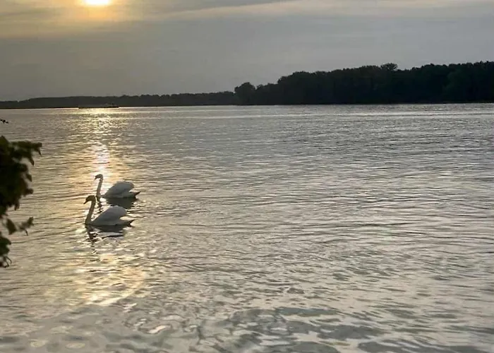 דירה Kej סמדרבו